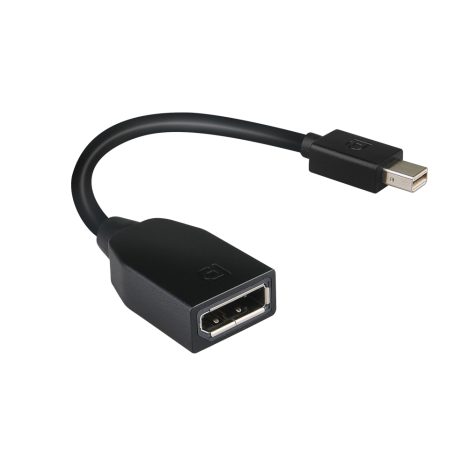 Lenovo MiniDisplayPort to DisplayPort AdapterPart Number 4X90L13971 (1)