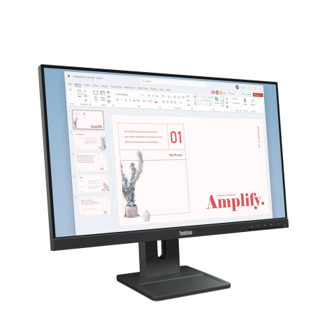 Lenovo ThinkVision E24-40 64BA (01)