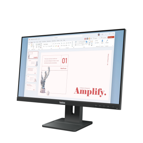 Lenovo ThinkVision E24-40 64BA (03)